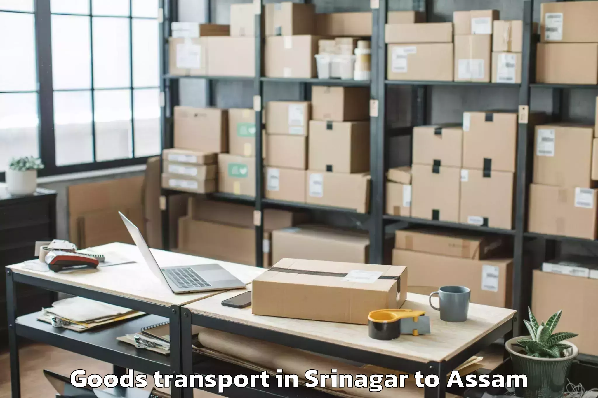 Book Your Srinagar to Chabua Goods Transport Today